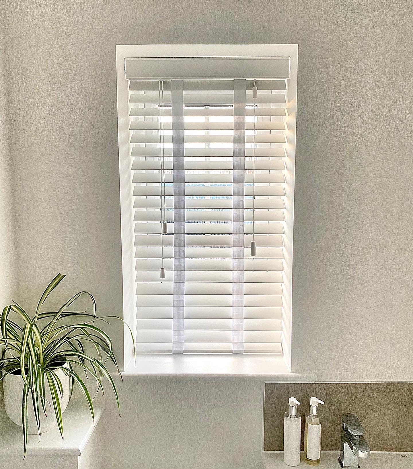 Dual Roller Blind